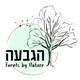 הגבעה ברנר